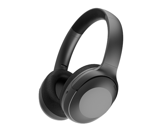 LS-306 (ANC)