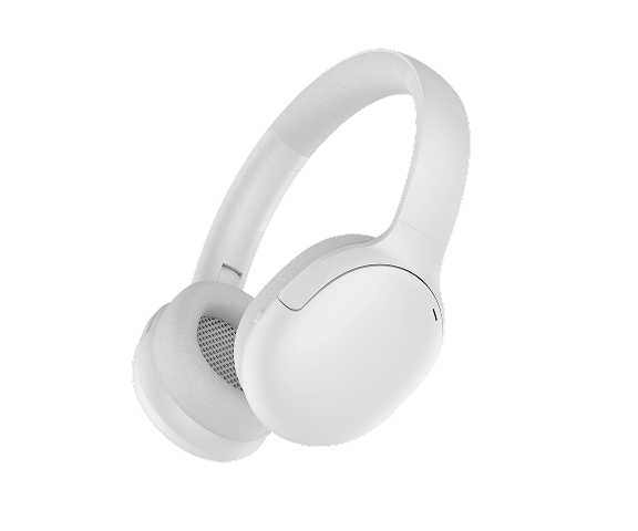 LS-307 (ANC)